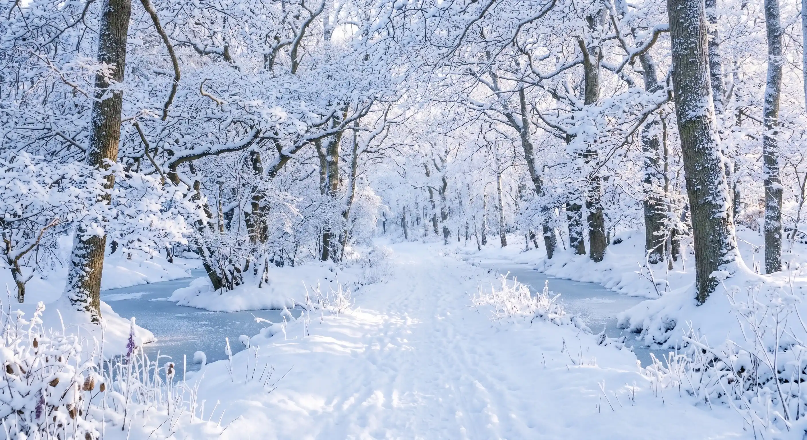 After: winter snow wonderland — GrokImage.ai